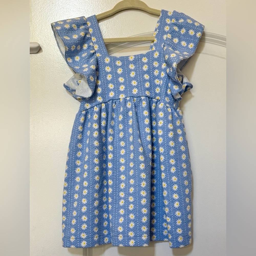 Zara Daisy Ruffle Sleeve Dress
